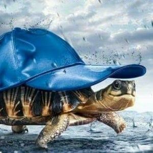 Meet your Posher, Anthony